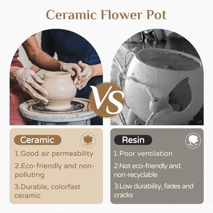 Bee Hanging Planter Gifts for Women: Ceramic Flower Pot with Drainage - color: Milky White & Beige-honey Jar