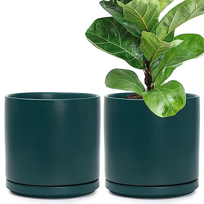 D'vine Dev 2-Pack Ceramic Pots with Saucers, Teal, 10 in, 94-V-E-9 | Modern Cylinder Design, Glazed Ceramic, Drainage Hole & Saucer Included, High Temperature Fired, Elegant Home Accent - color: Teal, size: 10 Inch