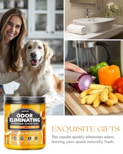 AOOVOO Citrus Lemon Odor Eliminating Candle - 9oz Soy Candles for Home | Eliminates 95% of Pet, Smoke, Food, and Other Smells Quickly, Non Toxic Air Freshing Candle, Up to 50 Hours Burn time - size: 9oz