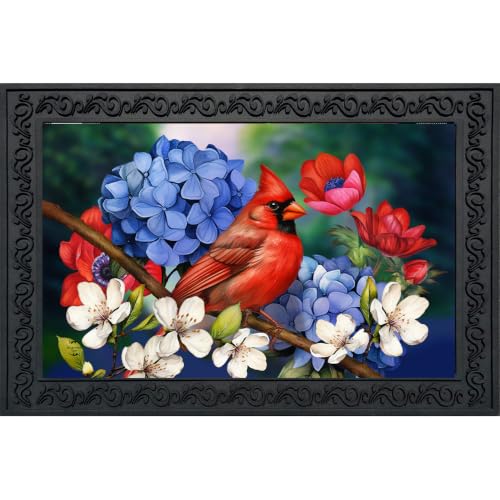Briarwood Lane Spring Doormat 30x18 Indoor Outdoor American Cardinal for Spring Doormat - color: Usa Cardinal
