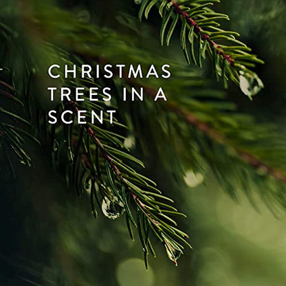 Thymes Frasier Fir Candle - Gilded Collection - Wood Grain Ceramic Design with 24-Karate Gold Rim - Mountain Fresh Fragrance - Elegant Winter Candle Scents - Gifts for Women & Men (Medium, 11 oz) - size: 11 oz