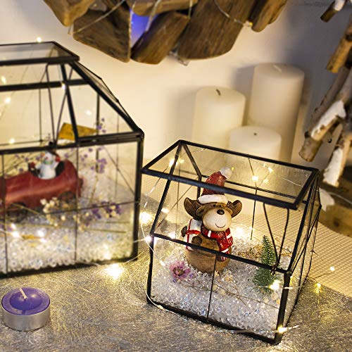 House Shape Glass Terrarium Planter with Swing Lid Black Frame | Black metal frame transparent glass panel, suitable for DIY planting of small succulent plants and mosses - size: 4.3"L x 4.3"W x 4.9"H