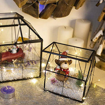 House Shape Glass Terrarium Planter with Swing Lid Black Frame | Black metal frame transparent glass panel, suitable for DIY planting of small succulent plants and mosses - size: 4.3"L x 4.3"W x 4.9"H