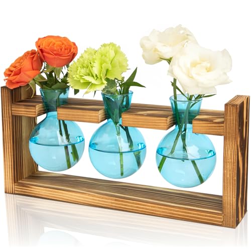 XXXFLOWER Plant Terrarium Jar Propagation Station Stand 3 Blue Bulb Vases | Plant Lovers Gifts for Mom Wife Grandma Daughter, Hydroponics Cutting Tabletop Office Home Garden Indoor Decoration - color: Blue