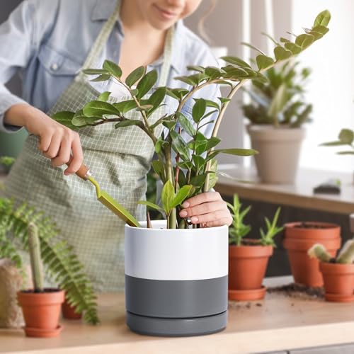 D'vine Dev 2-Pack Ceramic Pots with Saucers, White/Grey, 4/6 in, 94-G-S-6 | Glazed Ceramic, Drainage Hole, Perfect-Fit Saucer, Sleek Cylinder Shape, High Temperature Fired, Elegant Home Accent - color: White/Speckled Grey, size: Small