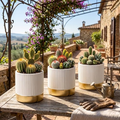 Set of 3 Cement Planter Pots with Drainage Hole,4 inch Plant Pots for Plants Indoor Houseplants,Succulent Pots Windowsil Planter (White&Gold) - color: White
