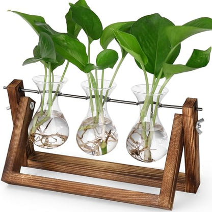 YIBOT Propagation Stations,Plant Terrarium with Wooden Stand-3 Glass Vases | Unique Gardening Birthday Gifts for Women Mom Plant Lovers, Indoor Hydroponics Plants Home Office Garden Desk Decor - size: 3Vase-B