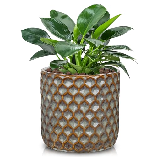 Oairse Small Ceramic Pots for Plants, 5.3 inch Brown Plant Pot Indoor with Drainage Ceramic Planters for Indoor Plants Succulent Planters Decorative Flower Pots for Cactus, Snake Plant, Herb - color: Brown, size: 5.3in