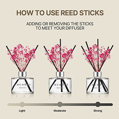 COCODOR Reed Diffuser Set with Preserved Baby's Breath with Sticks/April Breeze / 6.7oz / Scent Fragrance Oil Diffuser for Bedroom Bathroom Home Decor - size: Real Flower/6.7Ounce/1Pack