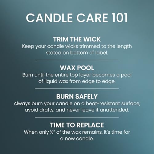 Yankee Candle Bayside Cedar Scented Candle, 22oz Large Jar with up to 150 Hour Burn Time, Giftable - color: Bayside Cedar, size: 22 oz