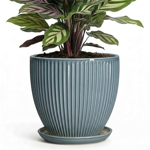 6 Inch Plant Pot Indoor, Ceramic Pots for Snake Succulent Plants, Decorative Round Flower Pots with Drainage Hole and Saucer, Modern Planter, Bookshelf Decor, Gifts for Men Women, Glaze Blue - size: 6 Inch, style: Glaze Blue