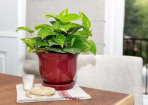 Garden & Home Red 8 Inch Indoor Ceramic Plant Pot with an Attached Saucer and Drainage Hole for House Plants, Herbs, Flowers, Succulent Plants, Snake Plants, Gifts for Mom