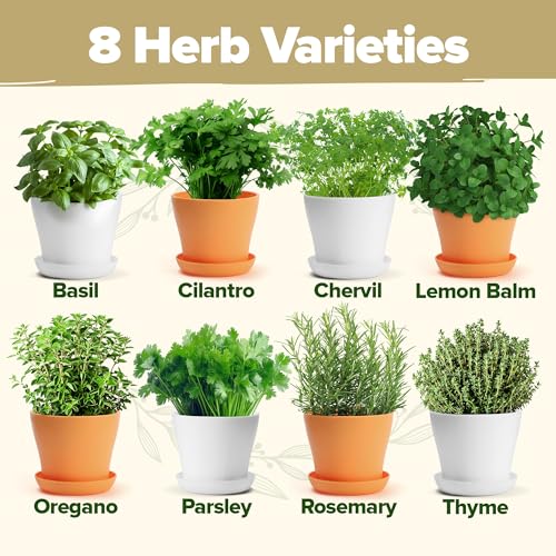 HOME GROWN Gift Herb Kit – 8 Herb Seeds Set with Basil, Cilantro, Mint & More, Complete Indoor Grow Kit for Kitchen, Gardening Gifts for Women & Men, Ideal for Cooking & Home Décor - style: Deluxe Herb Grow Kit