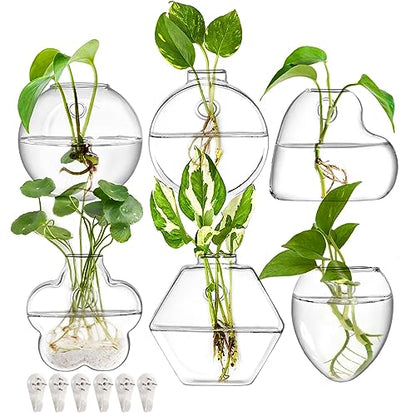 Set of 6 Wall Hanging Planter Terrarium, Clear Glass Plant Vase Wall Mount for Propagating Hydroponics Plant, Indoor Air Plants, Stylish 6 Shapes (Plants Not Included)