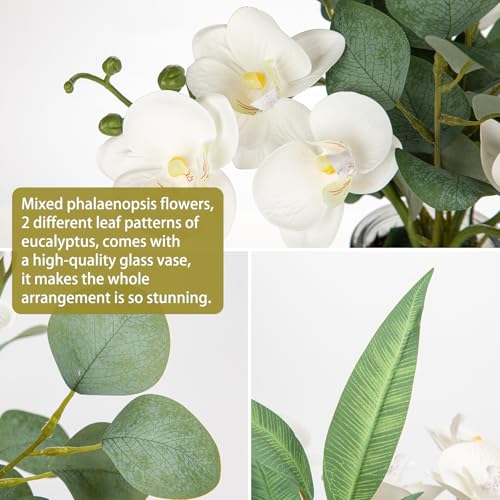 White Orchids Artificial Flowers with Vase Fake Flower in Vase Artificial Eucalyptus Stems in Glass Vases with Faux Water Faux Orchid with Eucalyptus Leaves Arrangement for Dining Table Centerpiece - color: White & Black Vase
