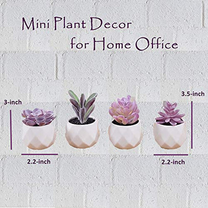 CADNLY Fake Succulent Plant Set Desk Plants Faux Succulents Pots Mini Purple Decor