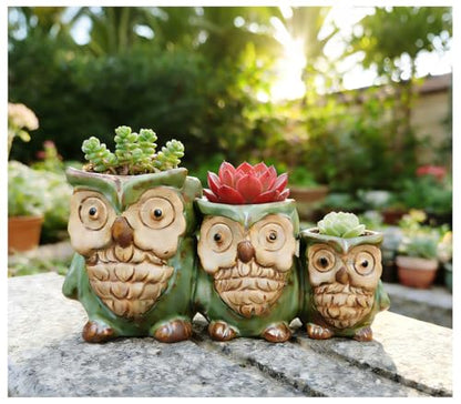 Cute Owl Planter, Small Funny Succulent Pots, Unique Decorative Animal Statue Ceramics Plant Pot for Indoor/Outdoor Home Office with Drainage, Owl Gifts for Women Mother Teacher, Three Owls