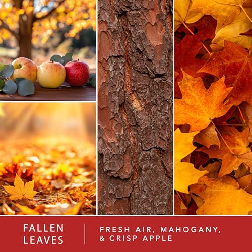 Scentsationals Fallen Leaves, Autumn Air Scented Wax Melts 10oz (24 Cubes) | Fresh Air, Mahogany, & Crisp Apple Long Lasting Fragrance Melts for Scented Wax Warmers - style: Fallen Leaves