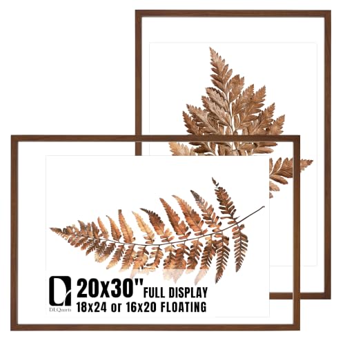 DLQuarts 20x30 Floating Picture Frame for 18x24/16x20/13x19/12x18 Photos, 2-Pack Solid Wood Double Plexiglass Wall Art Frames, Any Size Photo up to 20x30 Display, Black Walnut - color: Black Walnut, size: 20x30