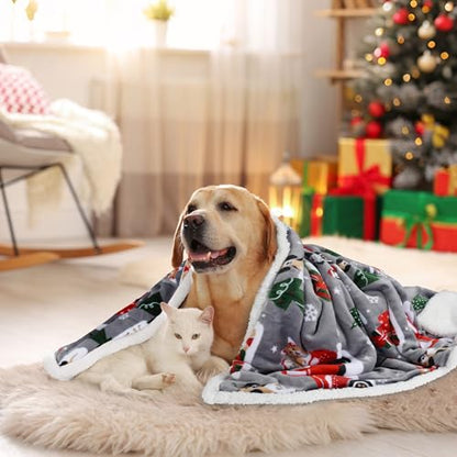 Catalonia Christmas Sherpa Throw Blanket, Xmas Theme Throws, Plush Fleece Couch Blanket |Super Soft, Comfy, Cozy, Fluffy, Warm | 50x60 inch,Truck - color: Truck, size: 50"x60"