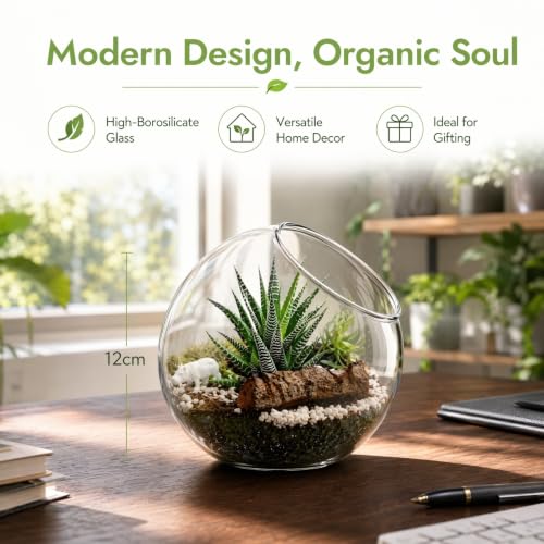 3 Pcs Glass Terrarium Air Plant Planters - Slant Cut for Home Office Decor, Succulent & Air Plant Containers, Transparent Glass Vases for DIY Gifts, Weddings, Housewarming