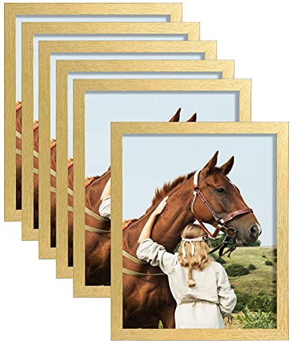 ELSKER&HOME 8x10 Picture Frame Gold Set of 6 Glass | Multi Photo Frames Collage with HD Real Glass for Table Top or Wall Mount Display - color: Gold 6P, size: 8x10