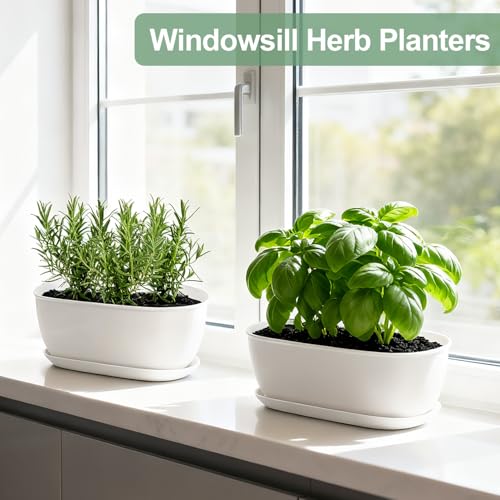 Set of 8 White Oval Shallow Herb Garden Planters with Drainage Holes and Trays (8.66 Inch) Plant Pots for Herbs Basil Orchids Succulents, Modern Herb Garden Planter for Indoor/Outdoor Plants - size: 8.66 x 6.1 x 3.39-inch