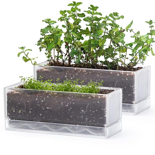 D'vine Dev 2-Pack Rectangular Planters, 12 x 4.5 in, Clear, 76-X-D-2 | Minimalist Design, Large Planting Capacity, Drainage Holes & Saucer, Thick-Walled Durable Build, Ideal for Windowsills - color: Clear