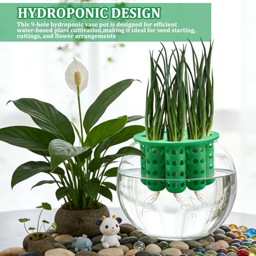 2 Pack 9 Hole Green Onion Planter Seed Sprouting Kit Scallion Planter Compatible with Regular Mouth Mason Jar for Windowsill Garden, Hydroponics, and Propagation Hydroponics Enthusiasts(Green,White)