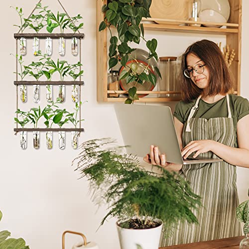 XXXFLOWER Wall Hanging Propagation Station with Wooden Stand 5 Glass Test Tubes 3 Tiered Planters Wall Terrarium for Home Office Plant Hanger Flower Vases Wall Decor Hydroponic Cuttings | 3 Tiers Plant Propagation Tubes Wall Decor Hydroponic Cuttings Plan