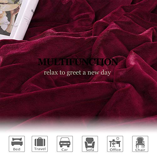 NANPIPER Sherpa Blanket Twin Thick Warm Blanket for Winter, Super Soft Fuzzy Flannel Fleece/Wool Like Reversible Velvet Plush (Wine Red, Twin Size 60"x80") - color: Wine Red, size: Twin