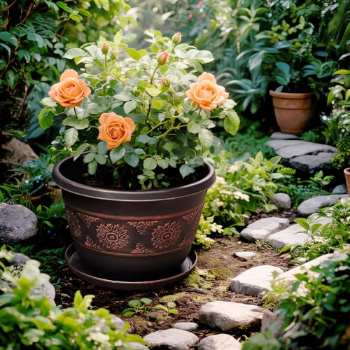 8 Inch Retro Plant Pots 6 Pack with Drainage and Saucers Copper | Copper retro PP pots with drainage holes and saucers for herbs succulents starter plants shelves and windowsills - color: Copper, size: 8 Inches-6 packs