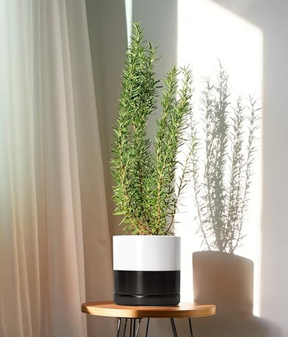 D'vine Dev 8.2 Inch Ceramic Planter Pot, Black White Two Tone, 94-O-D-L | Modern Cylinder Design, Drainage Hole & Saucer Included, Stable Structure, Elegant Home Accent - color: Layered Monochrome Black & White, size: Medium