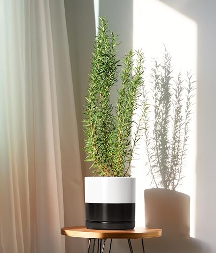 D'vine Dev 8.2 Inch Ceramic Planter Pot, Black White Two Tone, 94-O-D-L | Modern Cylinder Design, Drainage Hole & Saucer Included, Stable Structure, Elegant Home Accent - color: Layered Monochrome Black & White, size: Medium