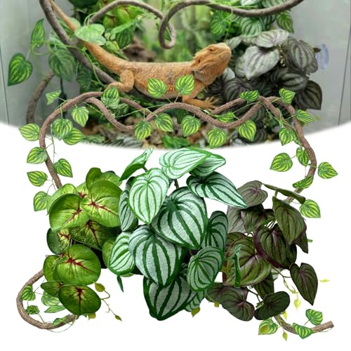 5 Pcs Reptile Plants & Habitat Decor Kit - Artificial Plants & Large 3.3ft Jungle Vine Branch, Artificial Leaves with Suction Cup Tank Decor Accessories for Crested Gecko, Lizard, Snake,Forg,Tortoise - color: Watermelon Peperomia,calathea Orbifolia
