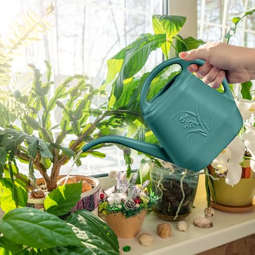 ZXJ Plant Watering Can - for Indoor and Outdoor Home Garden Plants - with Long Spout - Emerald Green - 1/2 Gallon - color: Emerald Green