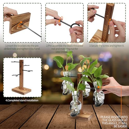 Plants Propagation Stations Skull Glass Propagation Birthday Gift for Women | Garden Plant Lovers - 4 Skull - color: Gray
