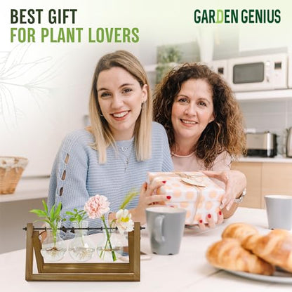 Glass Propagation Station with Wooden Stand – 3 Bulb Vase Plant Terrarium for Home & Office | Ideal Christmas, New Year & Birthday Gift for Plant Lovers, Moms | Hydroponic Desktop Planter Set - size: 3 Bulbs