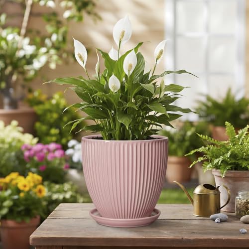 6 Inch Flower Pots, Ceramic Pots for Plants Indoor, Modern Plant Pot with Drainage Hole and Saucer, Decorative Small Round Succulent Planter, Living Room Office Decor, Women Men Gifts, Pink - size: 6 Inch, style: Pink