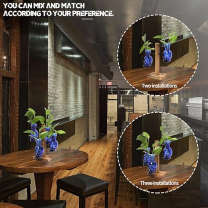 Plants Propagation Stations Skull Glass Propagation Birthday Gift for Women | Garden Plant Lovers - 4 Skull - color: Blue