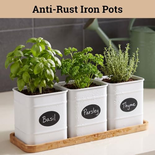 Herb Planter Indoor, 3-pc Herb Pots w/ Drainage Holes, Bamboo Tray & Labels | Iron Herb Pots, Varnished Bamboo Tray with Anti-Skid Base, Customizable Oval Sticker and Stick Labels & Chalkboard Marker Pen - color: White