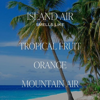 Sweet Water Decor Island Air Reed Diffuser Set | Tropical Fruits, Citrus, Sugar, Exotic Mountain Greens | Long Lasting | Summer Diffuser Oil - style: Island Air