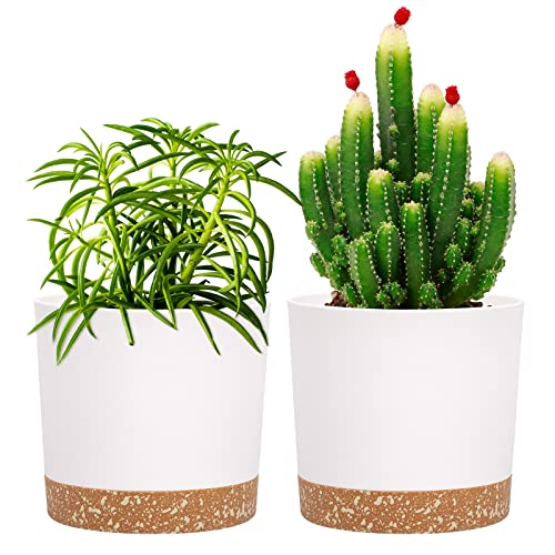 QCQHDU 5 inch Plant Pot, 2 Pack Planters for Indoor Plants with Drainage Holes & Saucer, Outdoor Flower Pots Home Garden Modern Decor - color: White, size: 5 inch