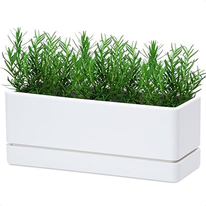 D'vine Dev Rectangular Planter, 12 x 4.5 in, White, Set of 1, 76-X-A-1 | Minimalist Design, Large Planting Capacity, Drainage Holes & Saucer, Thick-Walled Durable Build, Ideal for Windowsills - color: White