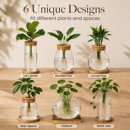 6 Pcs Plant Propagation Station Set, Glass Propagation Vases for Plants with Wooden Lids & Bamboo Stands, Hydroponic Vase Jars for Plant Cuttings, Terrarium Planters for Desk, Home Office Decor