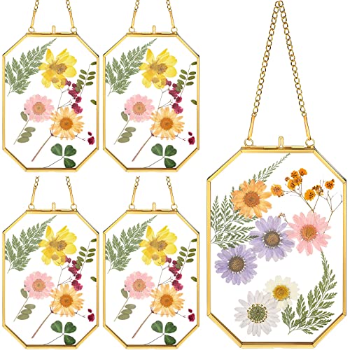 Treela 4 Pieces 4 x 6 Inch Glass Pressed Flower Frame, Hanging Double Glass Frames with Metal Chain Octagon Brass Tabletop Display for Dried Flowers Plant Picture Photo Artwork DIY Decor (Gold) - color: Gold, size: 4 x 6 Inch
