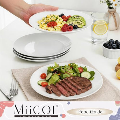 Miicol Ceramic Dinner Plates Set of 6, White Dessert Plates 9 Inch, Modern Round Porcelain Dishes for Steak, Pasta, Salad, Fruit, Microwave & Dishwasher Safe, Stackable - color: White 9 Inch