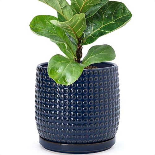 D'vine Dev Beaded Ceramic Pot with Saucer, 8 in, Midnight Blue, 27-C-Q-3 | Embossed Dot Texture, Smooth Glazed Finish, Timeless Vintage Charm, Drainage Holes, Stylish Accent for Modern Home Décor - color: Midnight Blue, size: 8.8 Inch