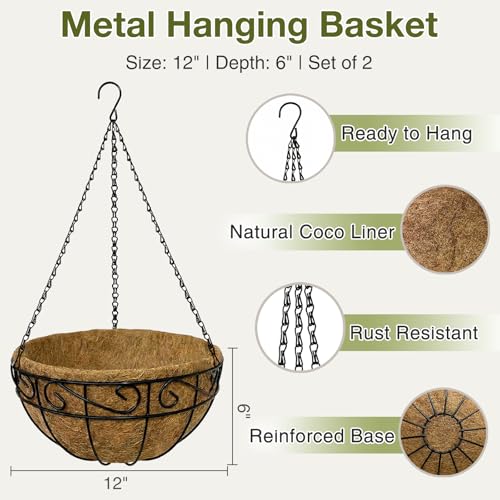 12 Inch Hanging Baskets for Plants Outdoor, 2 Pack Metal Wire Hanging Planters with Coco Coir Liners, Rust-Resistant Flower Basket with Chains & Hooks for Garden Patio Porch Deck Balcony - size: 12IN-2PCS