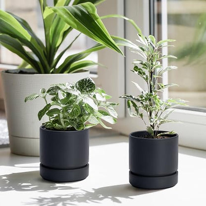 Phoenix Vine 4 Inch Planter Pot with Drainage Hole & Saucer, Deep Water Catch Tray, Straight Cylindrical Round Pot for Plants, Matte Black, Pack of 2, 23-C-R-2 - color: Matte Black, size: 4" (2 Pack)